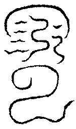 〔圖〕
