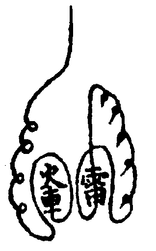 〔圖〕