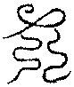 〔圖〕