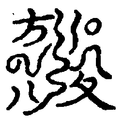 〔圖〕