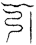 〔圖〕