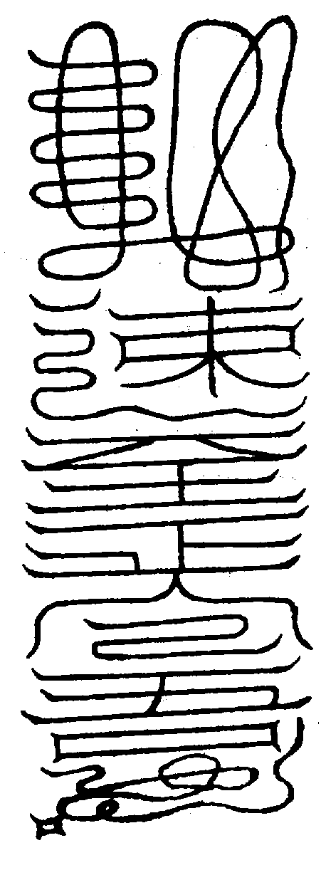 〔圖〕