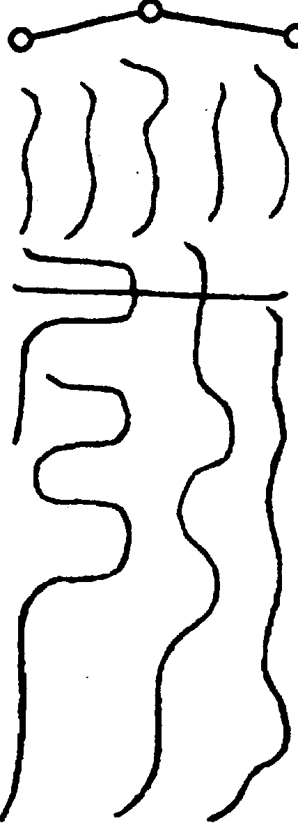 〔圖〕