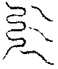 〔圖〕