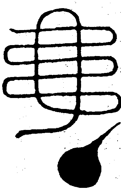 〔圖〕