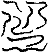 〔圖〕
