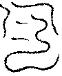 〔圖〕