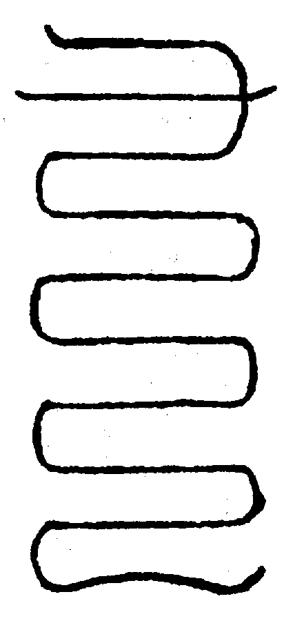 〔圖〕