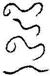 〔圖〕