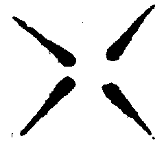 〔圖〕