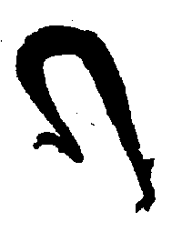 〔圖〕