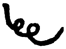 〔圖〕