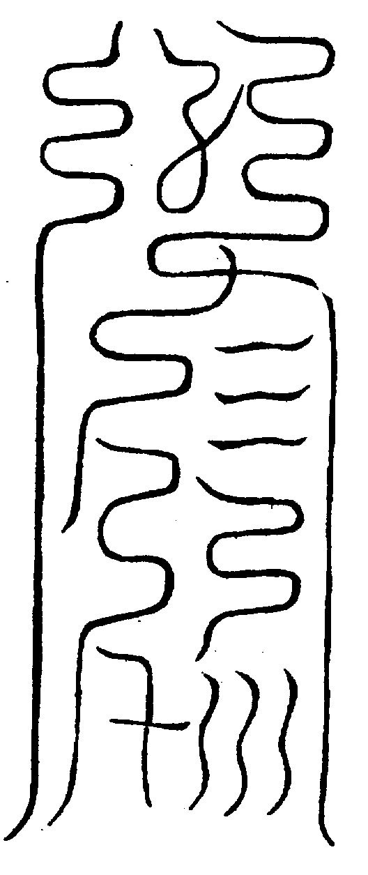 〔圖〕