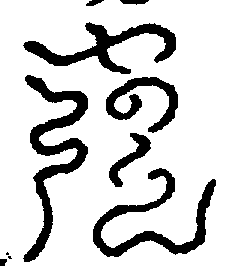 〔圖〕