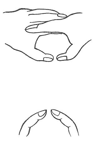 〔圖〕