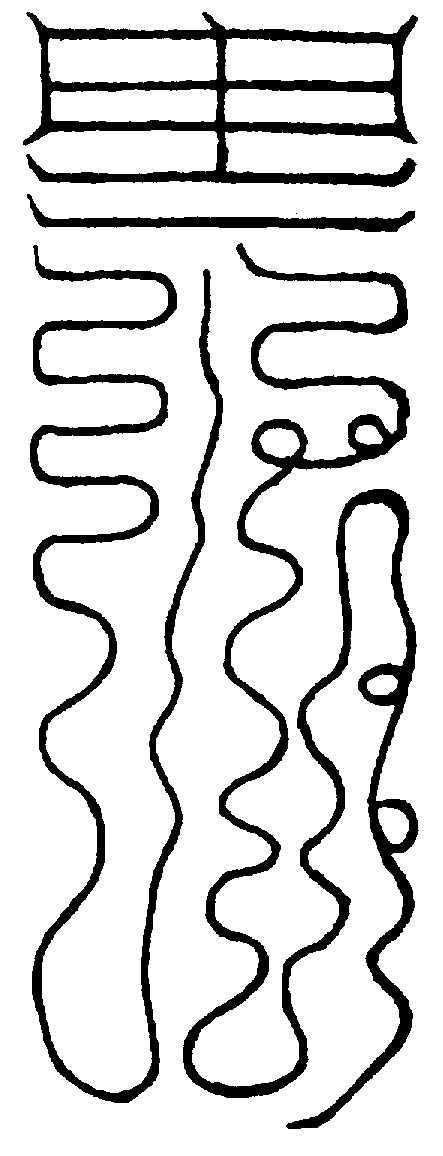 〔圖〕
