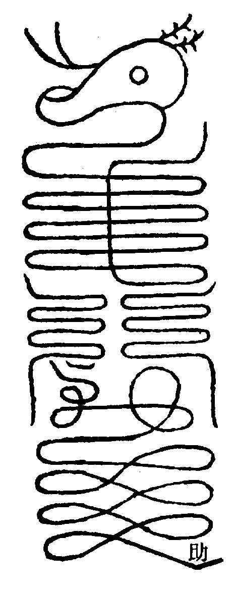 〔圖〕