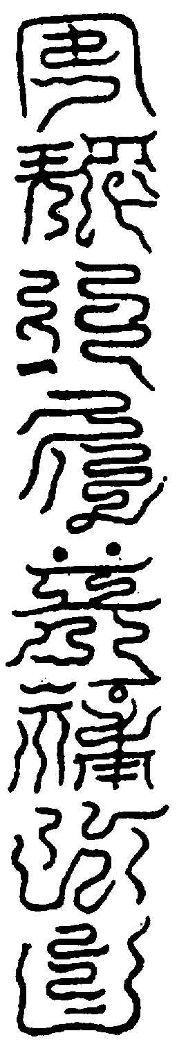 〔圖〕