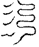 〔圖〕