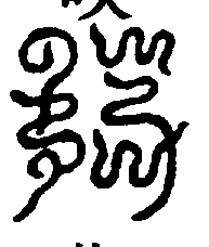 〔圖〕