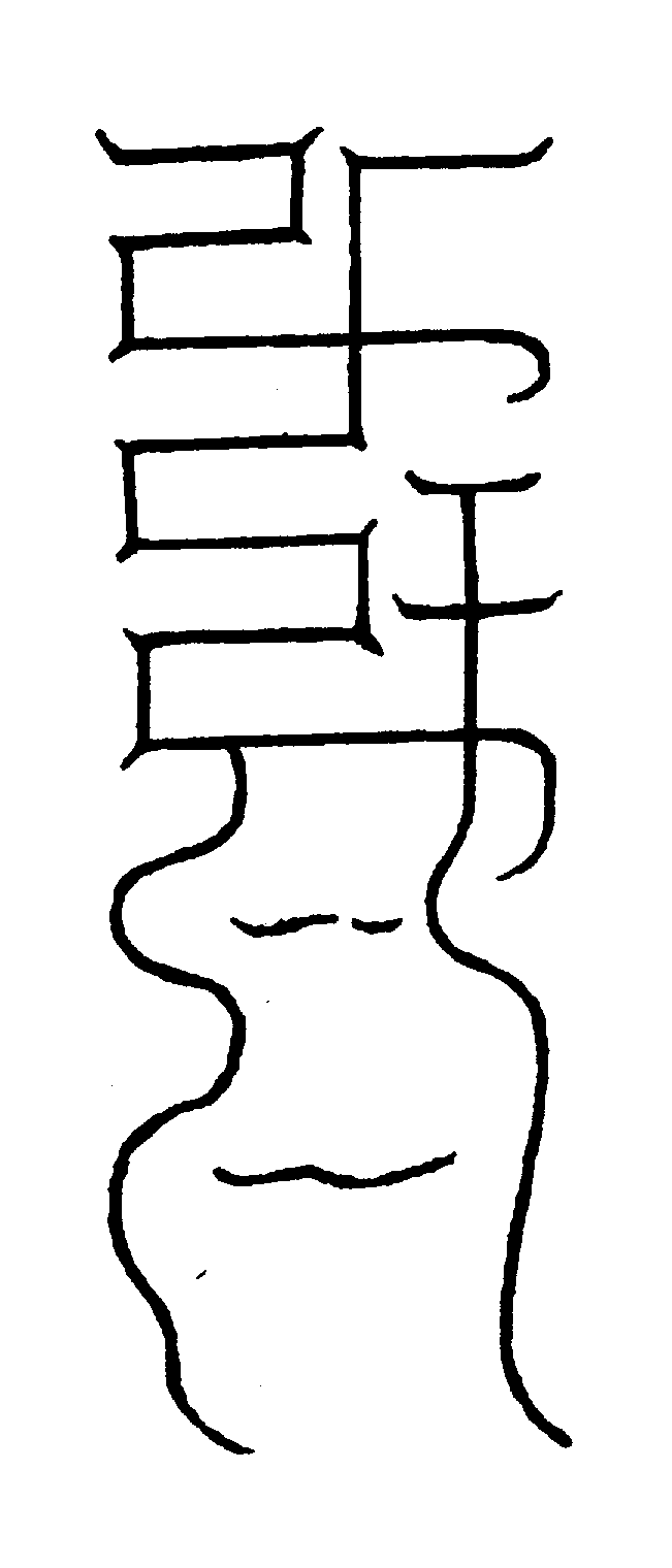 〔圖〕