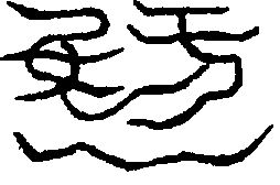 〔圖〕