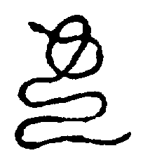 〔圖〕