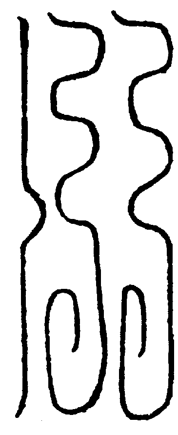 〔圖〕