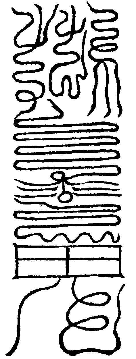 〔圖〕