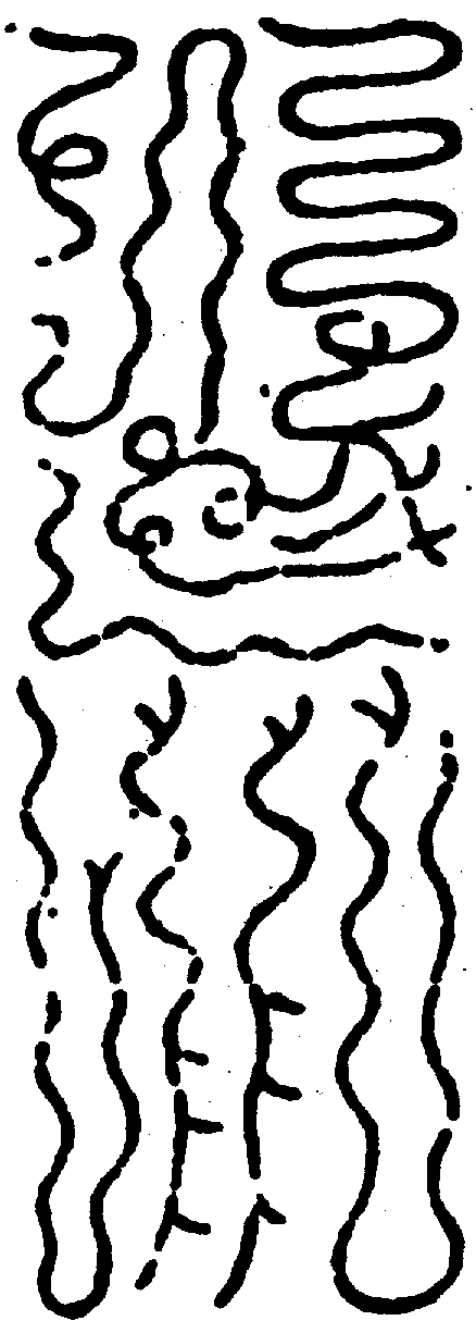 〔圖〕