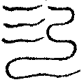 〔圖〕