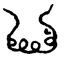 〔圖〕