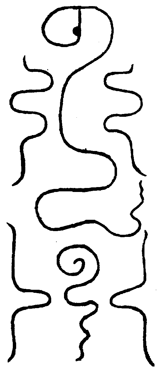 〔圖〕