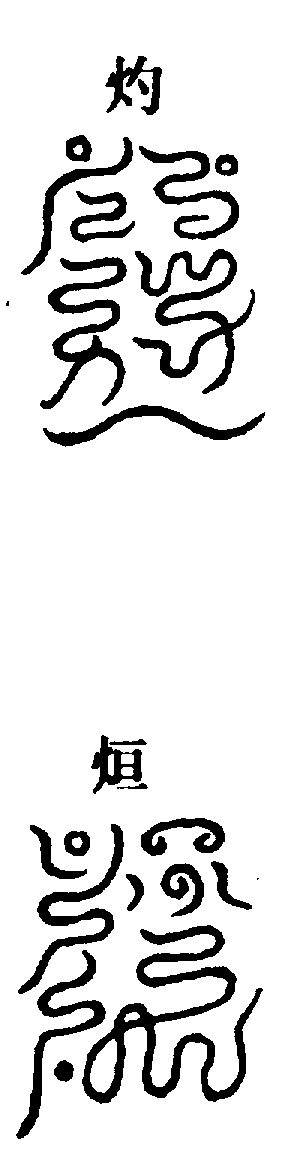 〔圖〕
