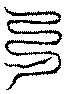 〔圖〕