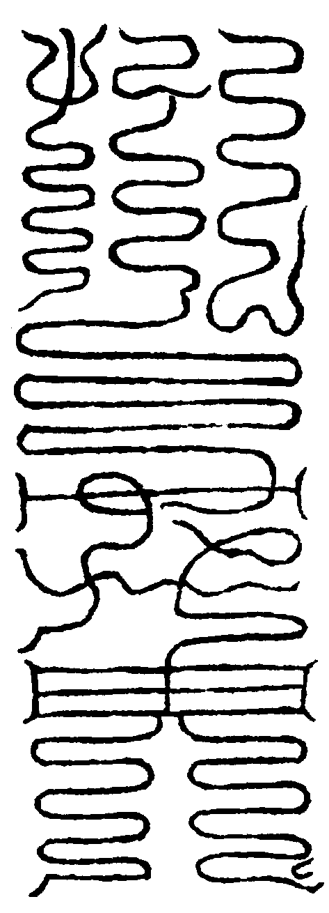 〔圖〕