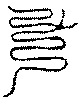〔圖〕