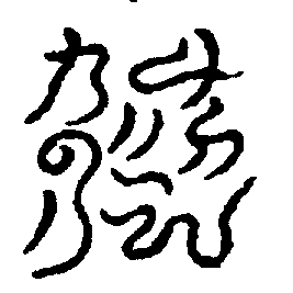〔圖〕