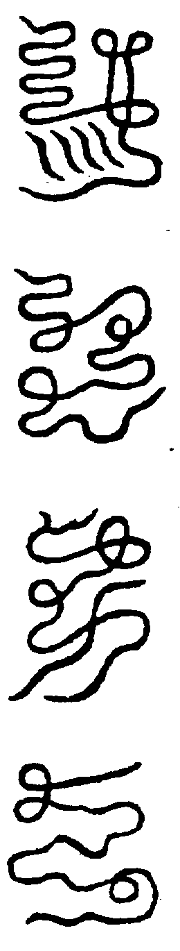 〔圖〕