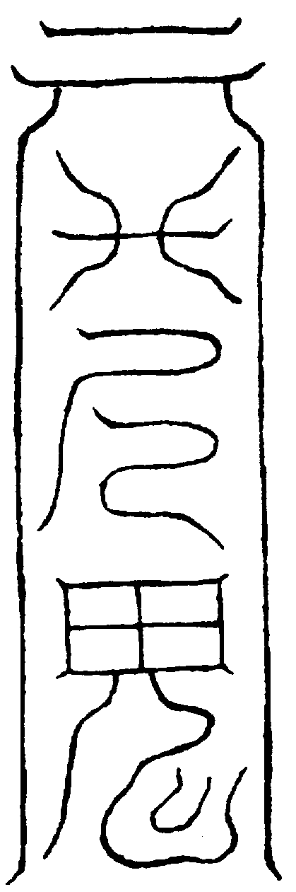 〔圖〕
