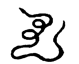 〔圖〕