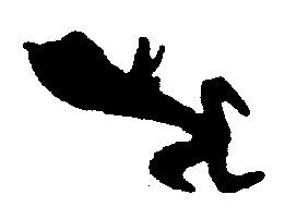 〔圖〕
