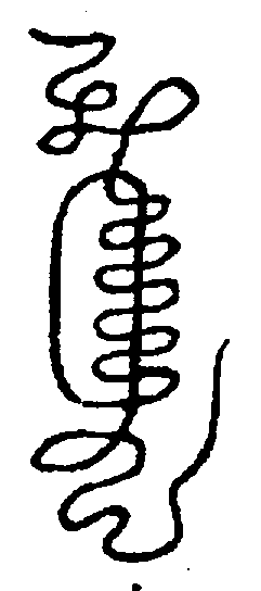 〔圖〕