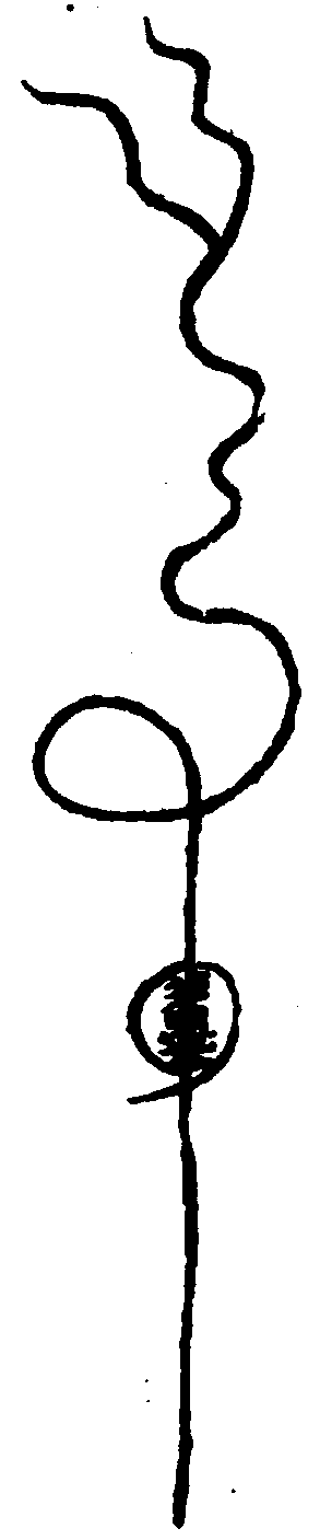 〔圖〕
