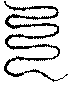 〔圖〕