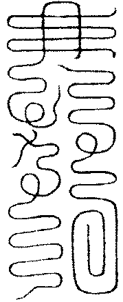〔圖〕