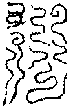 〔圖〕