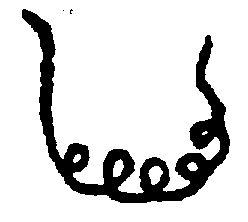 〔圖〕