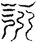 〔圖〕