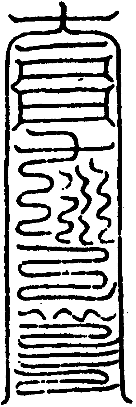 〔圖〕